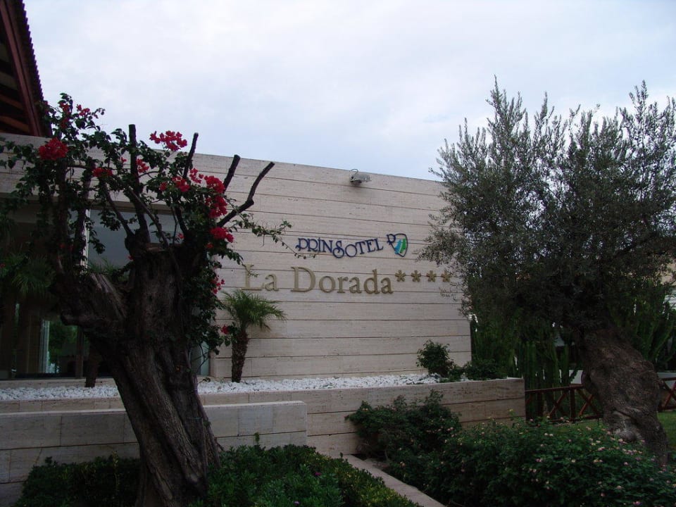 Eingang Prinsotel La Dorada