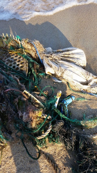 Müll am Strand The Fair House Beach Resort