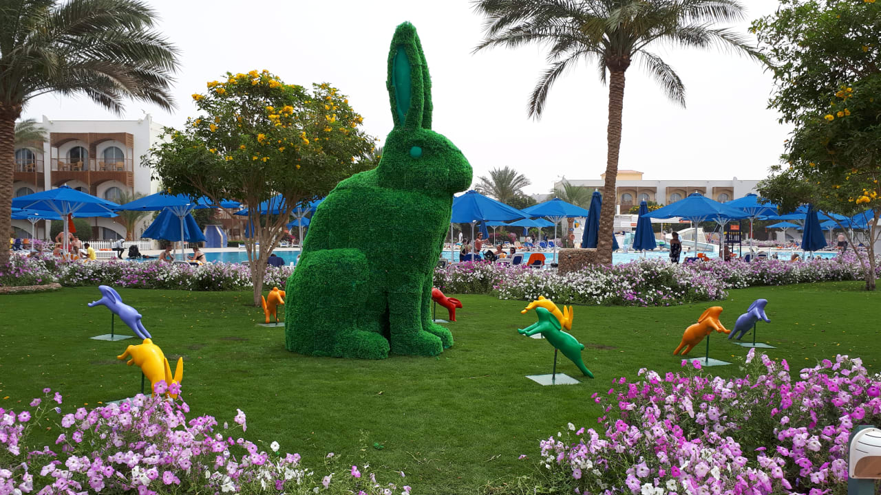 Gartenanlage Desert Rose