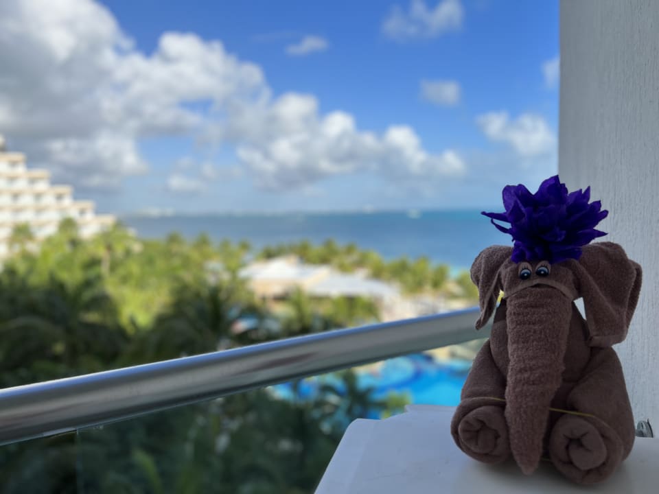 Ausblick Hotel Riu Caribe