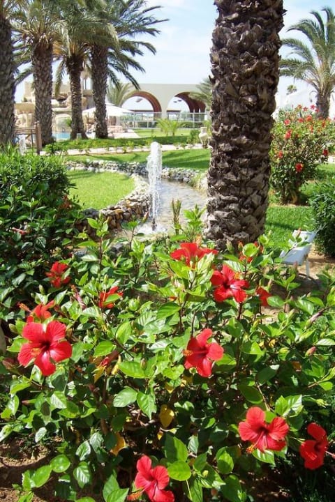 Gartenanlage Steigenberger Marhaba Thalasso Hammamet