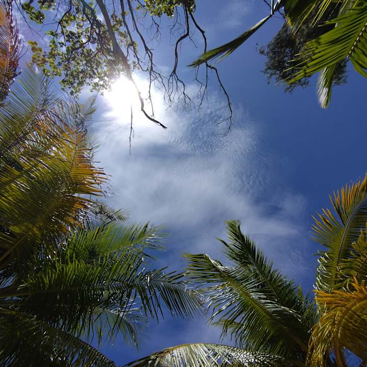 Ausblick Ellaidhoo Maldives by Cinnamon