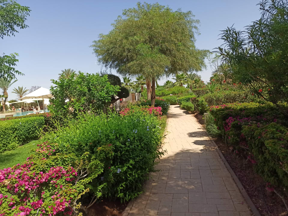 Gartenanlage Be Live Collection Marrakech - Adults only