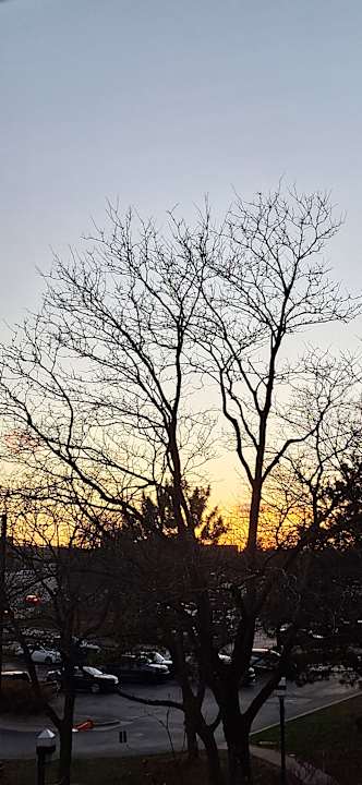 Ausblick Hotel The Henry