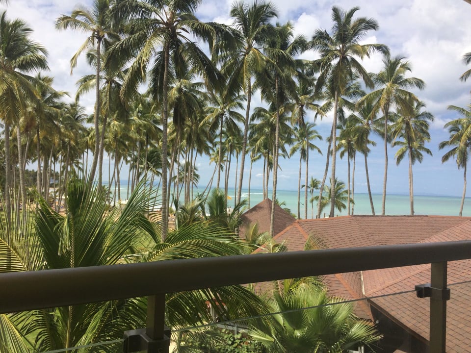 Ausblick auf das Meer Viva V Samana by Wyndham – Adults Only