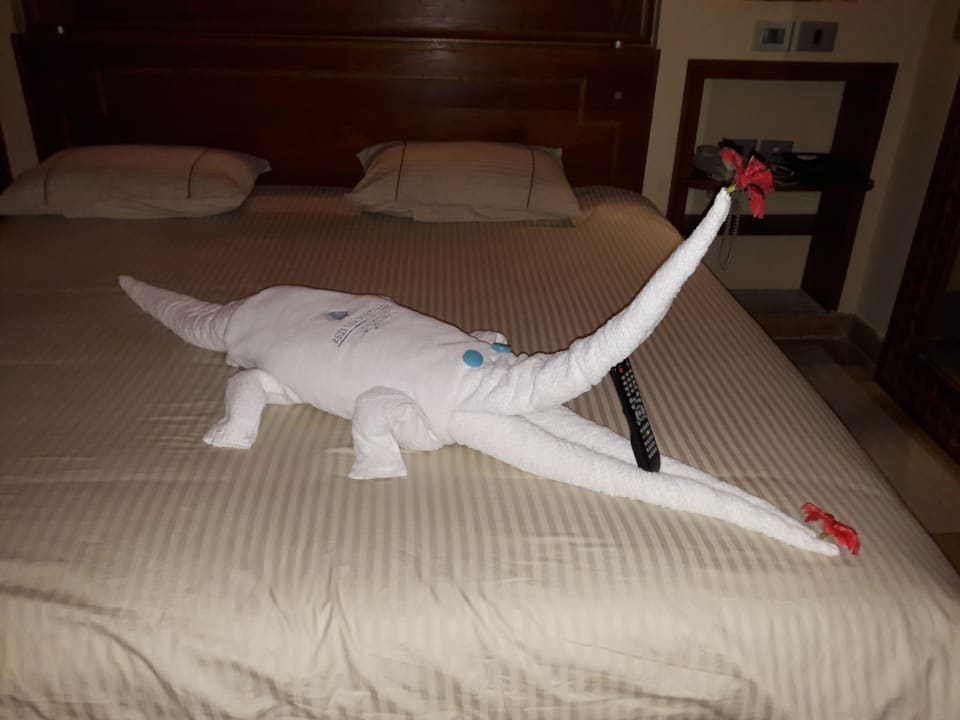 Zimmer Grand Waterworld Makadi & Family Star Makadi