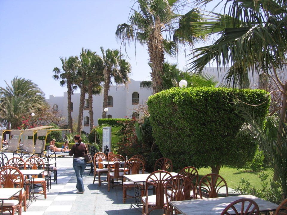 Direkt am Pool Arabia Azur Resort