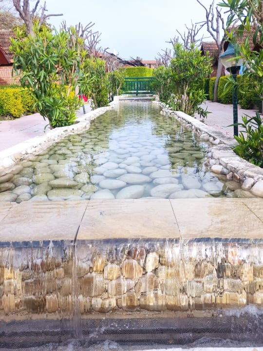 Pool Can Garden Beach