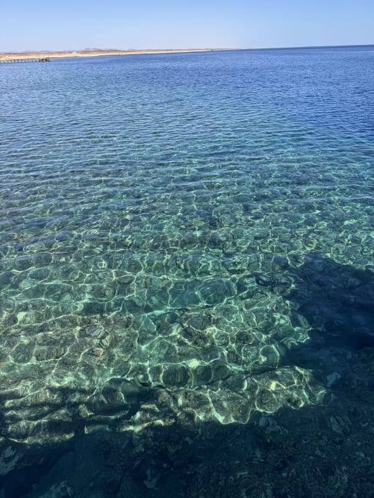 Strand Steigenberger Resort Alaya Marsa Alam - Red Sea - Adults only
