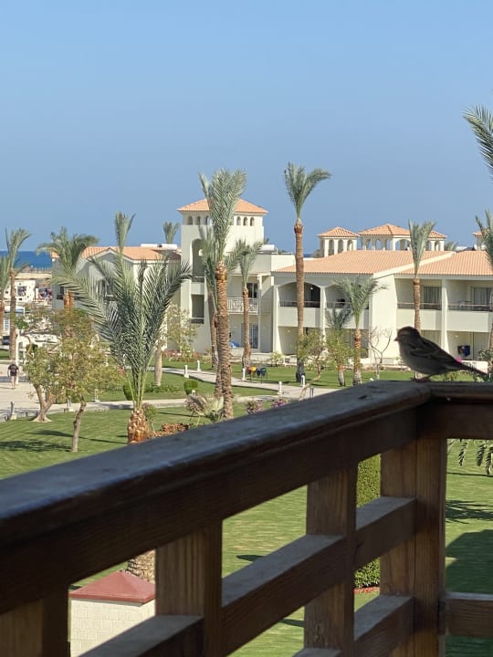 Ausblick Pickalbatros Dana Beach Resort - Hurghada