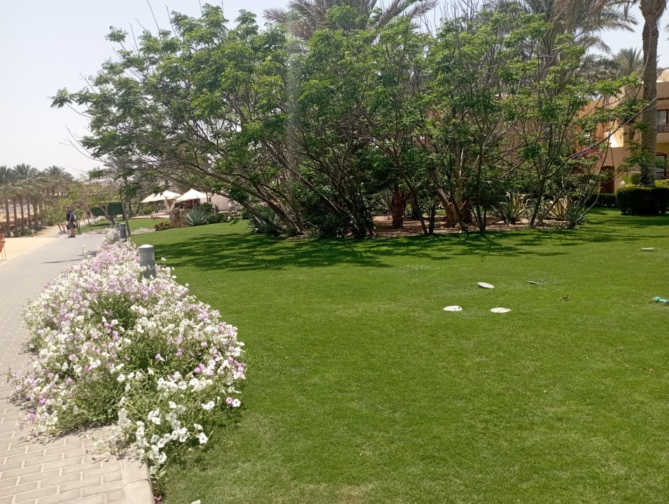 Gartenanlage Steigenberger Coraya Beach - Adults only