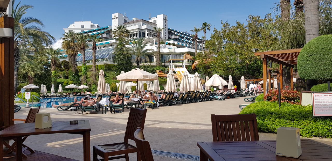 Pool Side Star Elegance