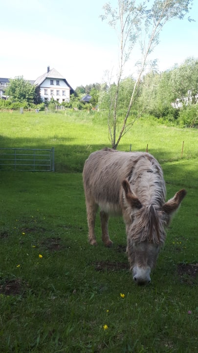 Sport & Freizeit S'Fleckli Bioland Ferienbauernhof