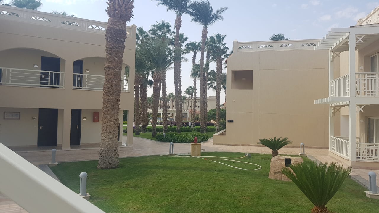 Zimmer Beach Albatros Resort