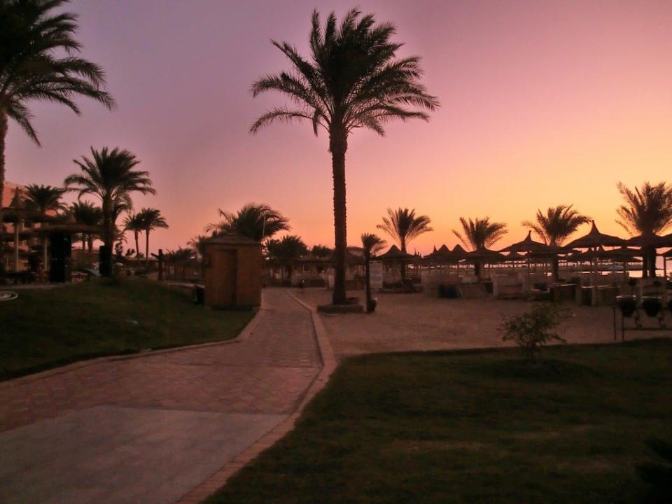 Morgenstimmung Beach Albatros Resort