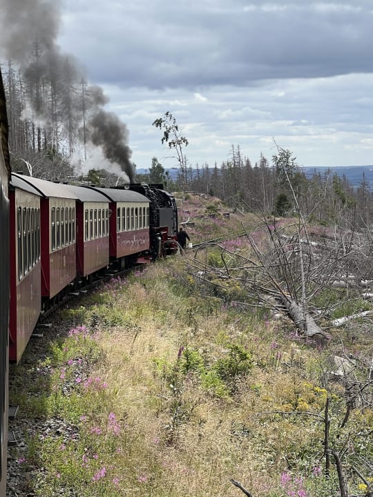 Sport & Freizeit Hotel Brocken