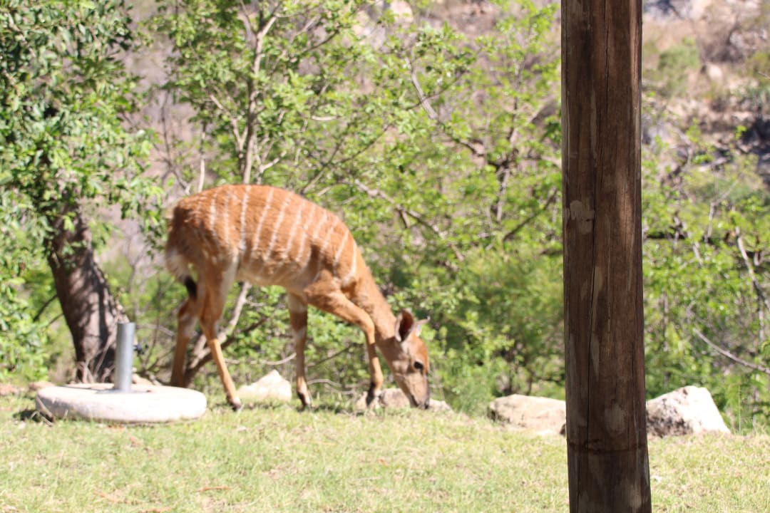 Direkt vor unserem Zimmer Bongani Mountain Lodge