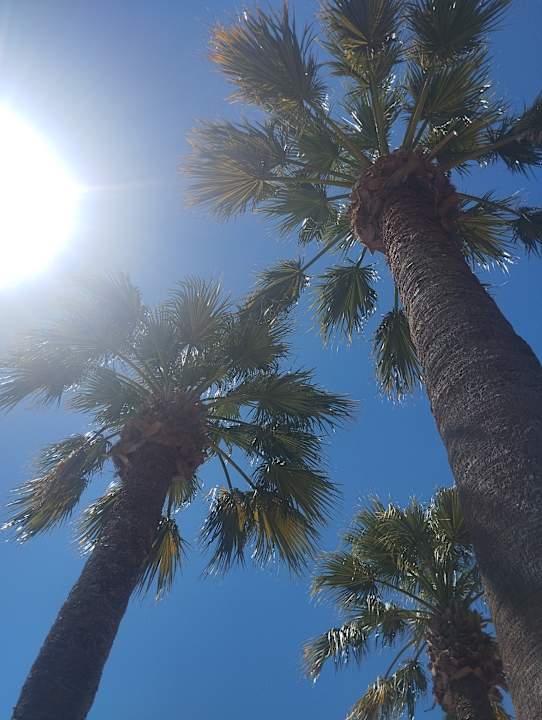 Gartenanlage VONRESORT Golden Beach