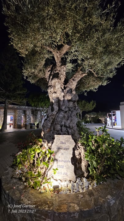 Außenansicht Ikaros Beach Luxury Resort & Spa - Adults Only