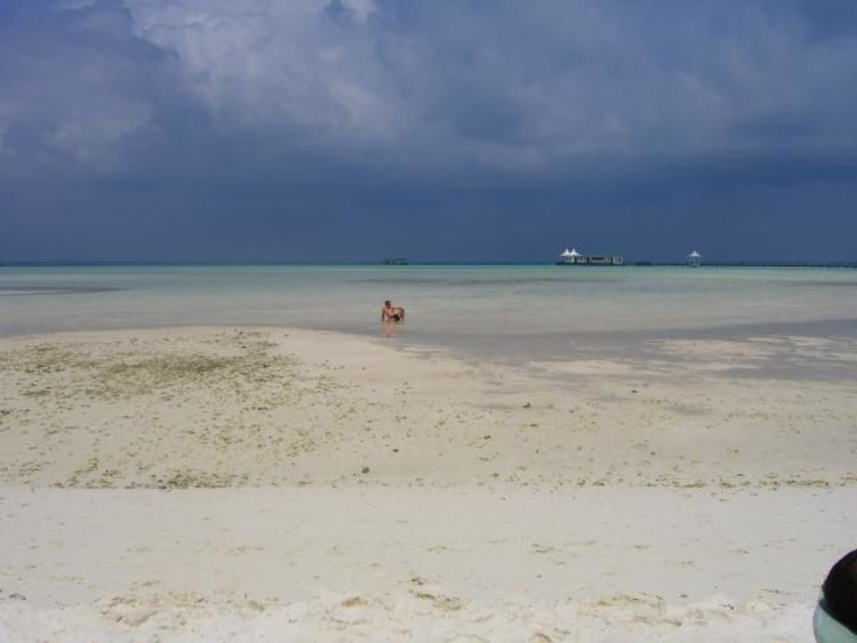 Wassersitzen bei Ebbe Cinnamon Hakuraa Huraa Maldives