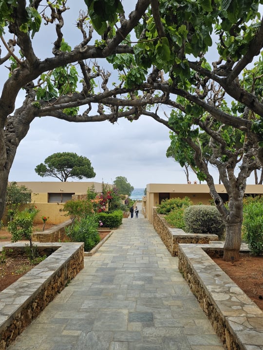 Ausblick Kernos Beach Hotel & Bungalows