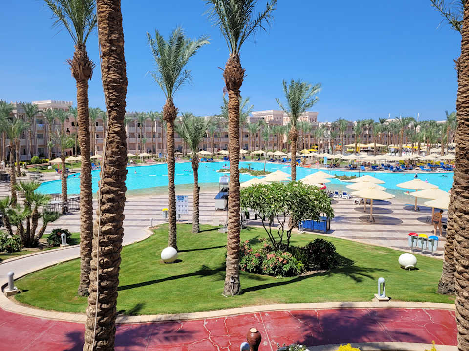 Pool Pickalbatros Palace Resort