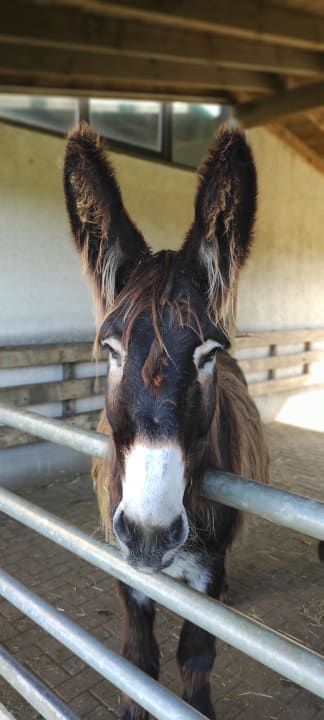 Sport & Freizeit Ferienhof Grieshof