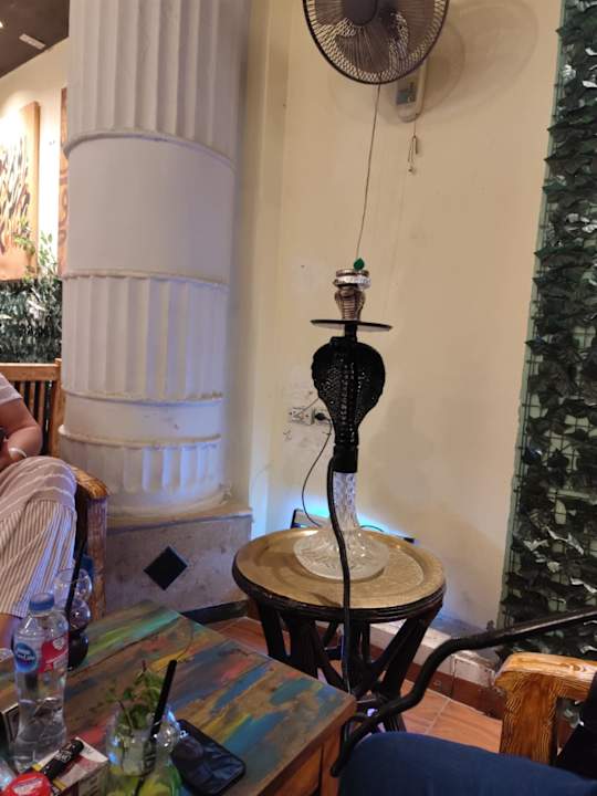 Sport & Freizeit Pickalbatros White Beach Resort - Hurghada