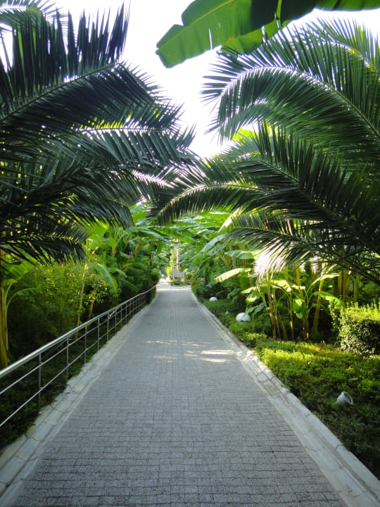 Der Weg runter zum Strand Sealife Buket Resort & Beach