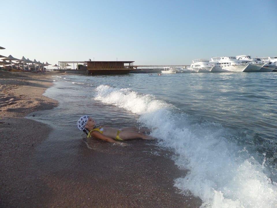 Волной накрыло! Ali Baba Palace Resort