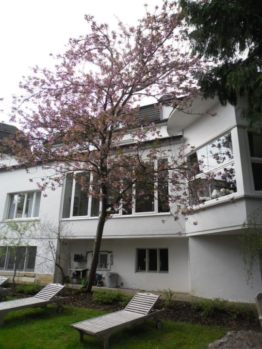 Liegewiese  Westpark Hotel