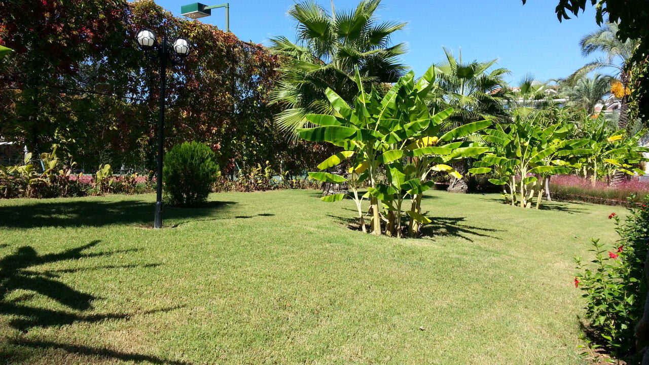 Ideal für Urlaubsfotos Hotel Turan Prince