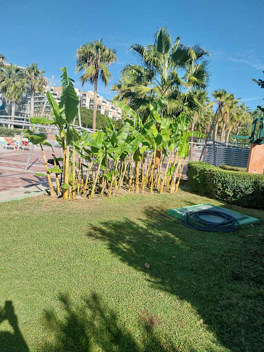 Gartenanlage Limak Limra Hotel & Resort