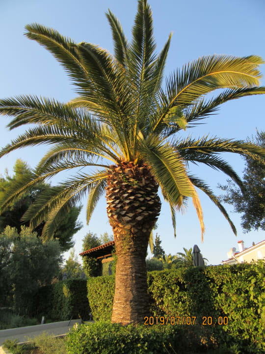 Gartenanlage Philoxenia Hotel