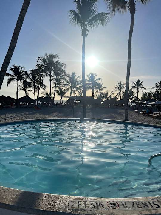 Pool Sunscape Dominicus La Romana