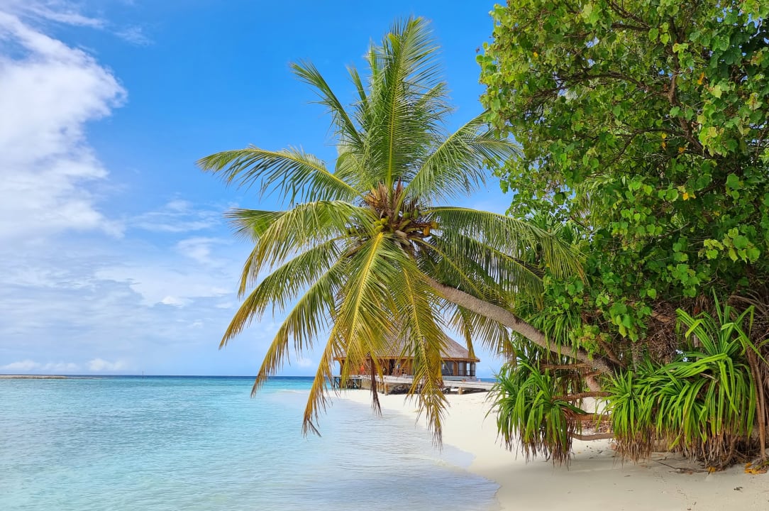 Strand Vilamendhoo Island Resort & Spa