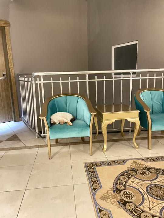 Sonstiges Miarosa Kemer Beach