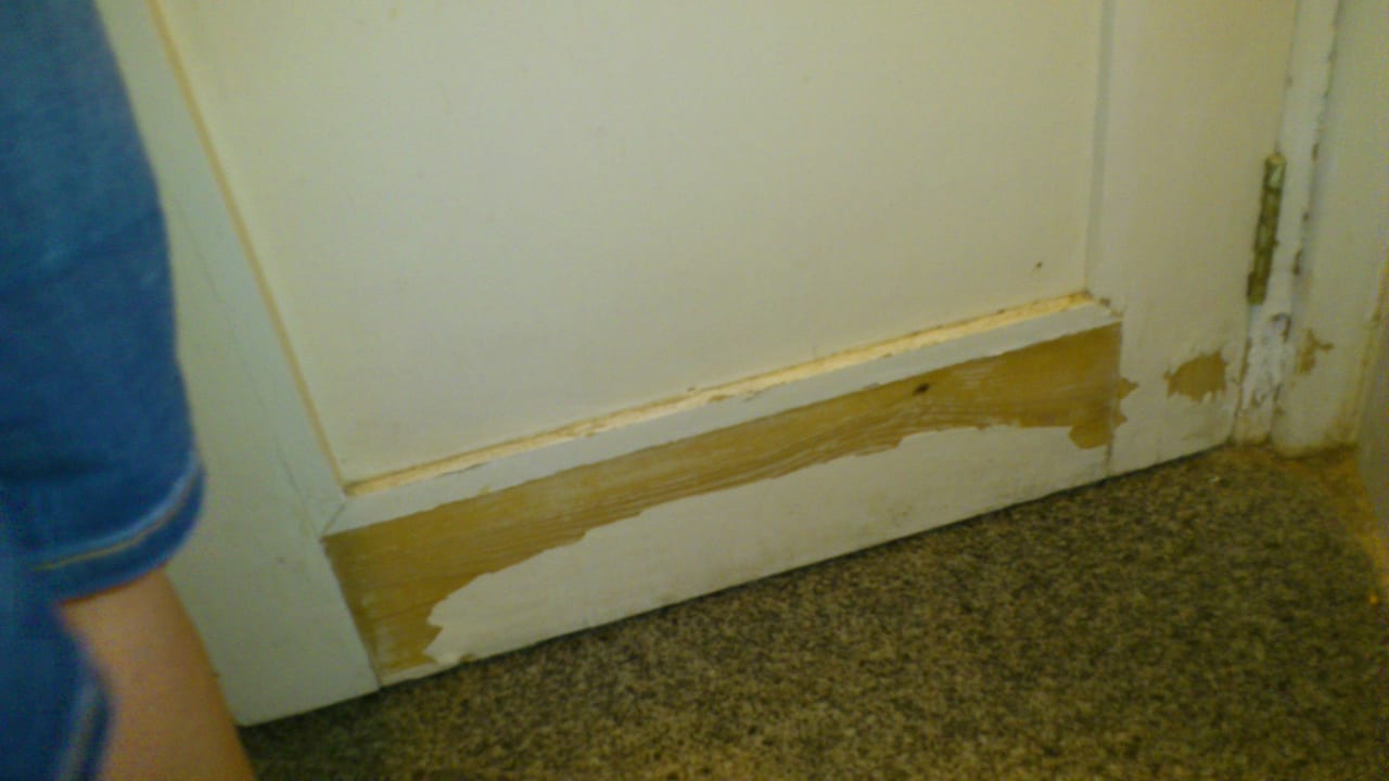 Kaputt Sea Shell Hotel