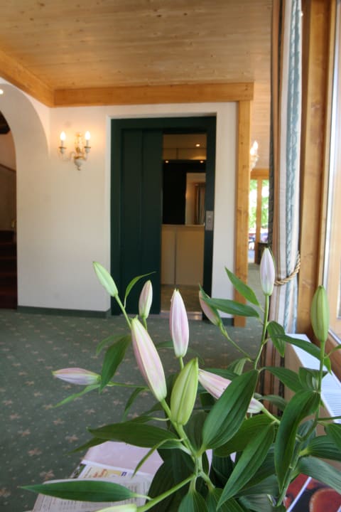 Sonstiges Kurhotel Falter