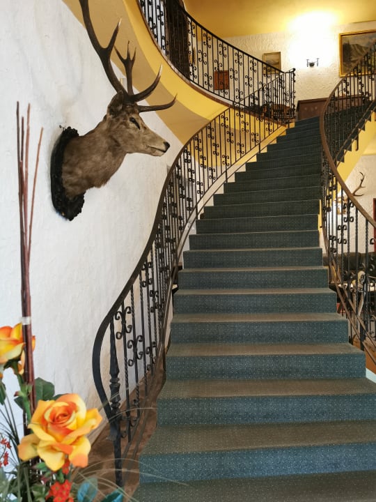 Lobby Land-gut-Hotel Zum Alten Forsthaus - Aufladestation f. Elektroautos vorhanden