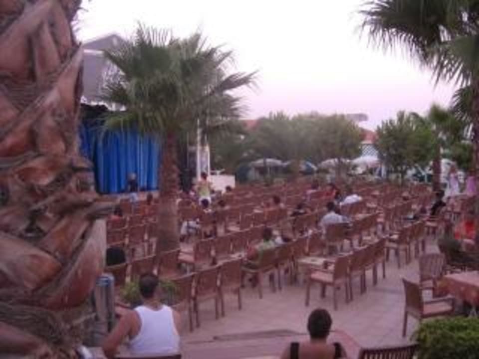Abends Trendy Palm Beach (Adults Only, 16+)