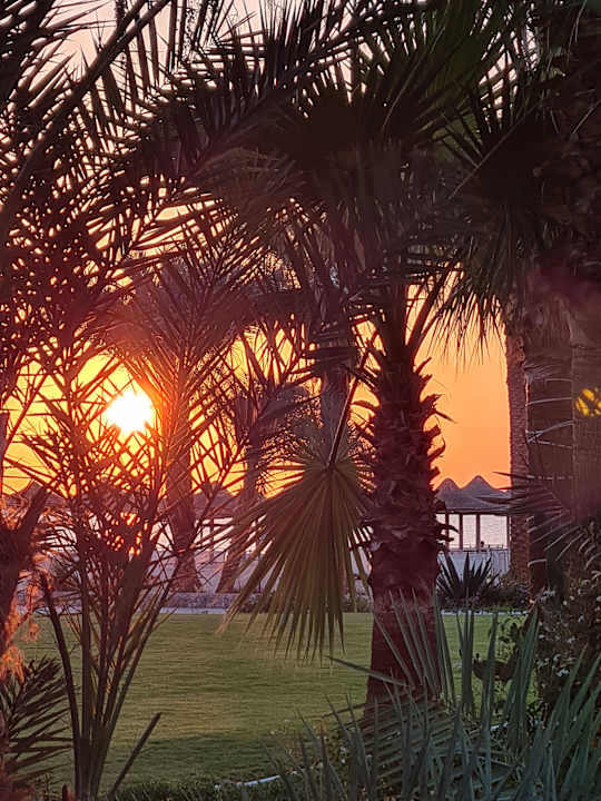 Gartenanlage Shams Safaga Resort