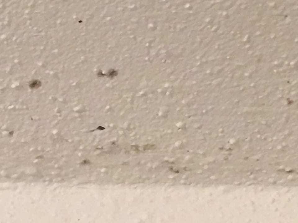 Zimmer Panoramic - Ihr Apartmenthotel im Harz