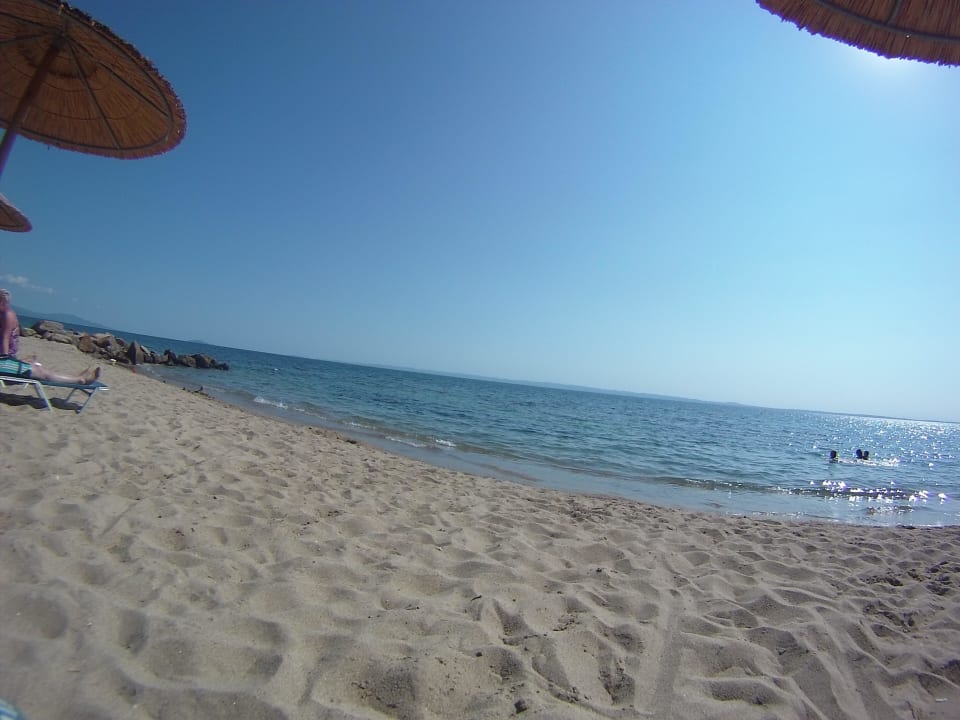 Meerblick Blue Dolphin Resort Hotel