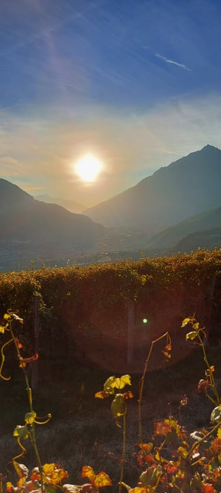Ausblick Hotel Alpenhof