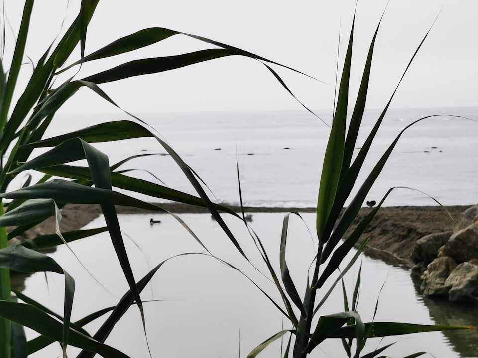 Gartenanlage Starlight Resort Hotel