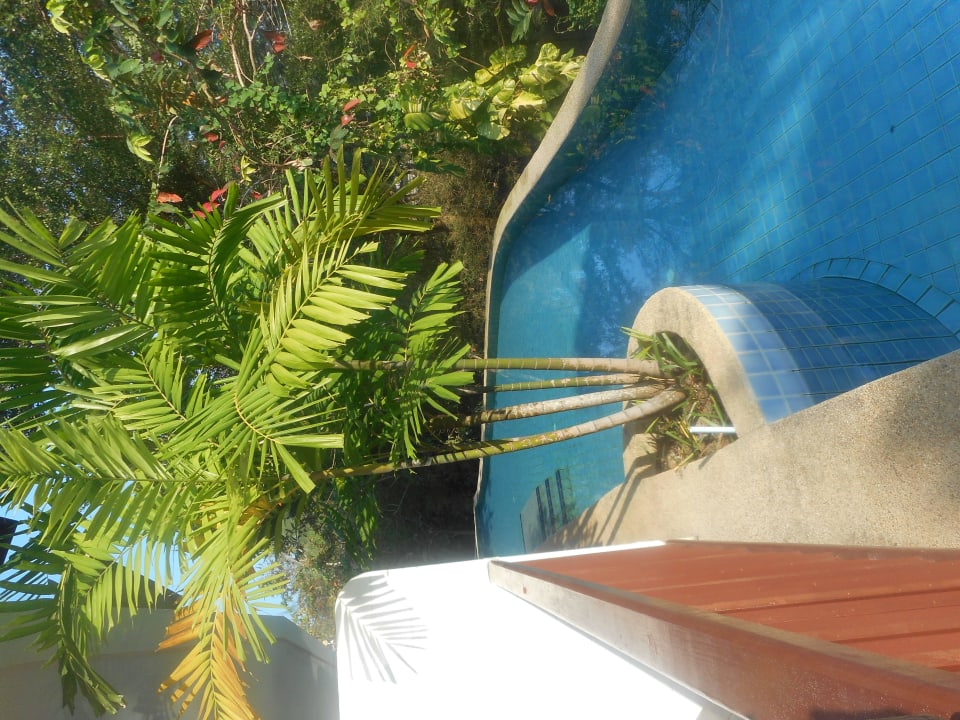 Zimmer mit Poolzugang Arinara Bangtao Beach Resort