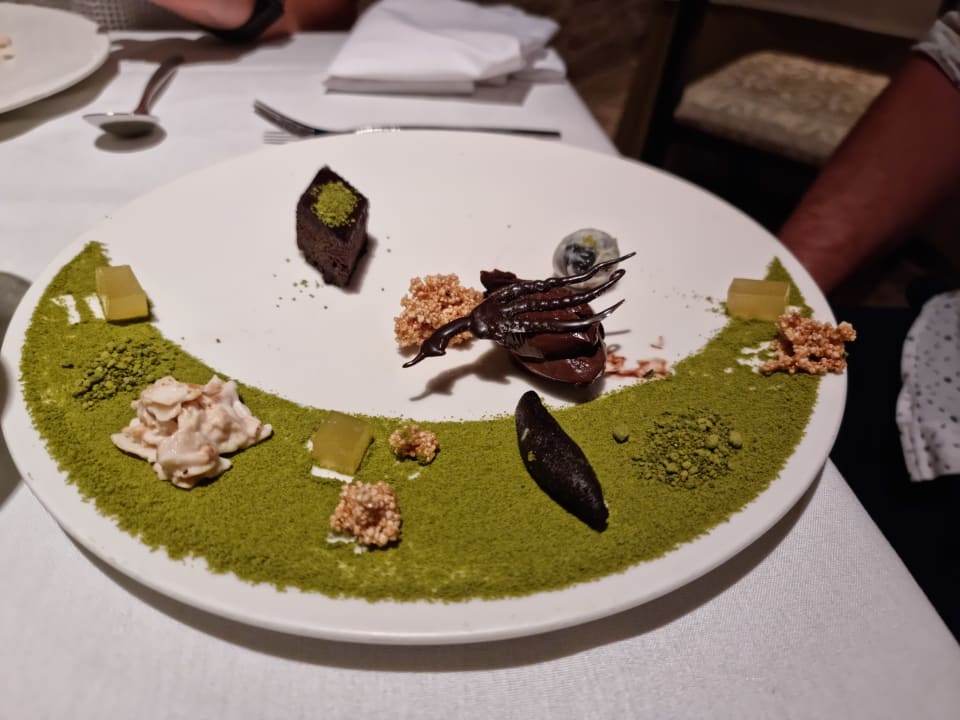 Gastro Akumal Bay Beach & Wellness Resort