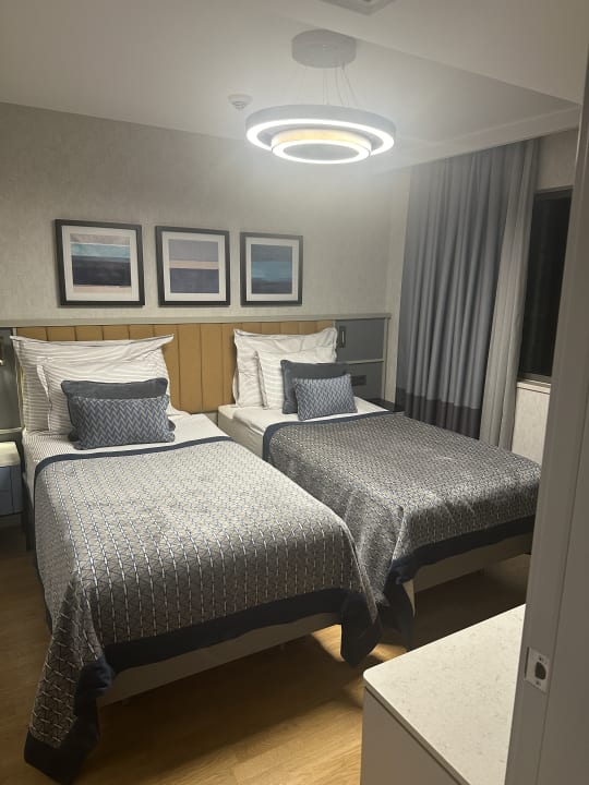 Zimmer Arum Barut Collection