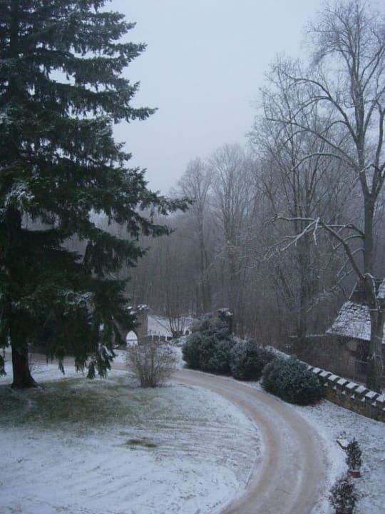 Blick vom Zimmer in den Schloßgarten Rehbergers im Schloss Hohenstein - ein Romantik Hotel